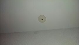 IMAG0247.jpg image