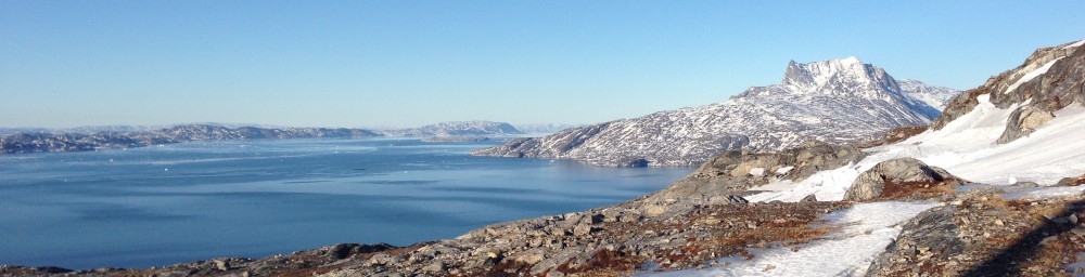Granlien i Grønland