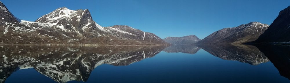 Granlien i Grønland