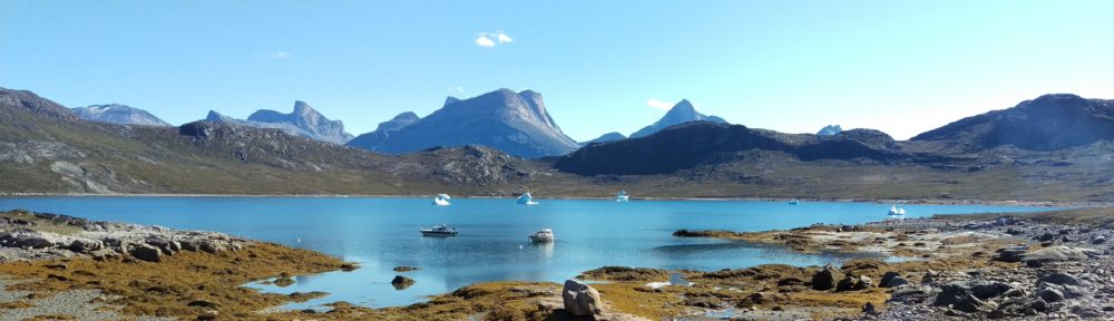 Granlien i Grønland