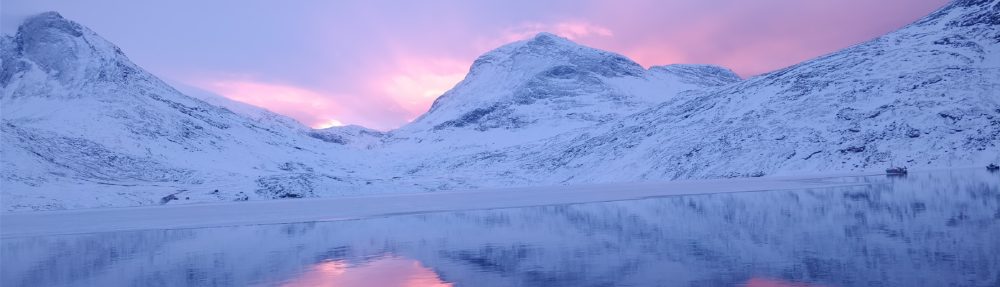 Granlien i Grønland
