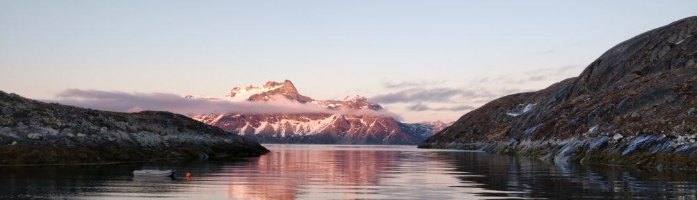 Granlien i Grønland
