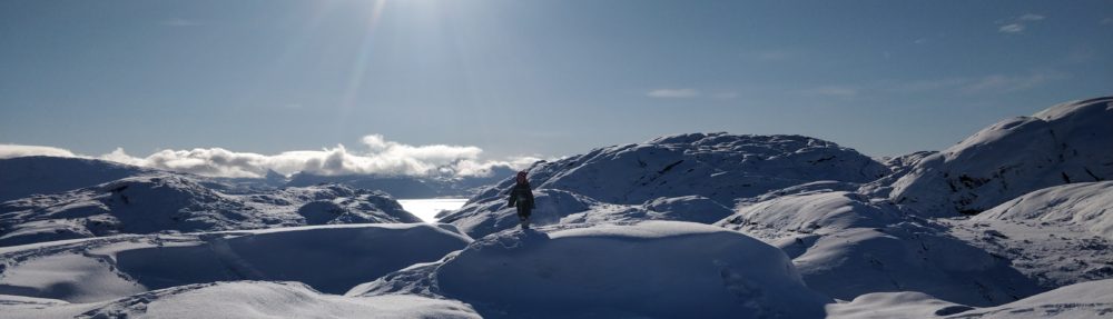 Granlien i Grønland