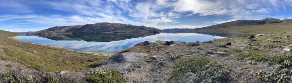 Granlien i Grønland